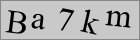 Sicherheitscode