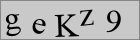 Sicherheitscode