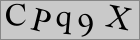 Sicherheitscode